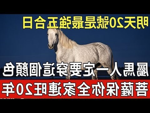 生肖 大門顏色